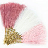 Agusbagli 150pcs Pink Faux Pampas Grass, 21.6in Fluffy Artificial Colored Pompas Pampas Grass