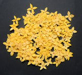 250x Yellow Pressed Flowers Small 1.8cm Natural Dried Floral Resin Craft Decor Dried Flower