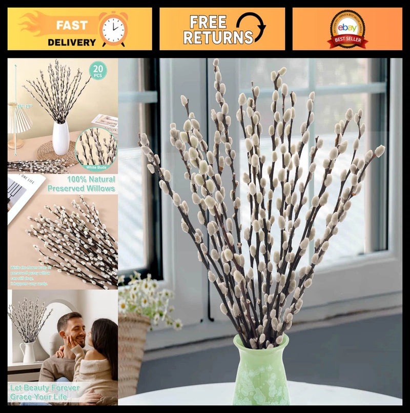 Dried pussywillow branches with fuzzy catkins in a vase