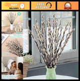 20 Stems Dried Pussywillow Branches - Natural Greenery for Vase, Wedding, Home D Dried Flower
