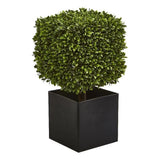 Nearly Natural 27" Boxwood Artificial Plant in Black Planter (Indoor/Outdoor) Green Plant