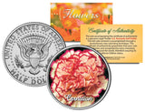 CARNATION FLOWER JFK Kennedy Half Dollar U.S. Colorized Coin Carnation
