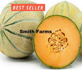 10+ Seeds Cavaillon Melon Cantaloupe Easy Vegetable Garden Planting Edible Garden Plants