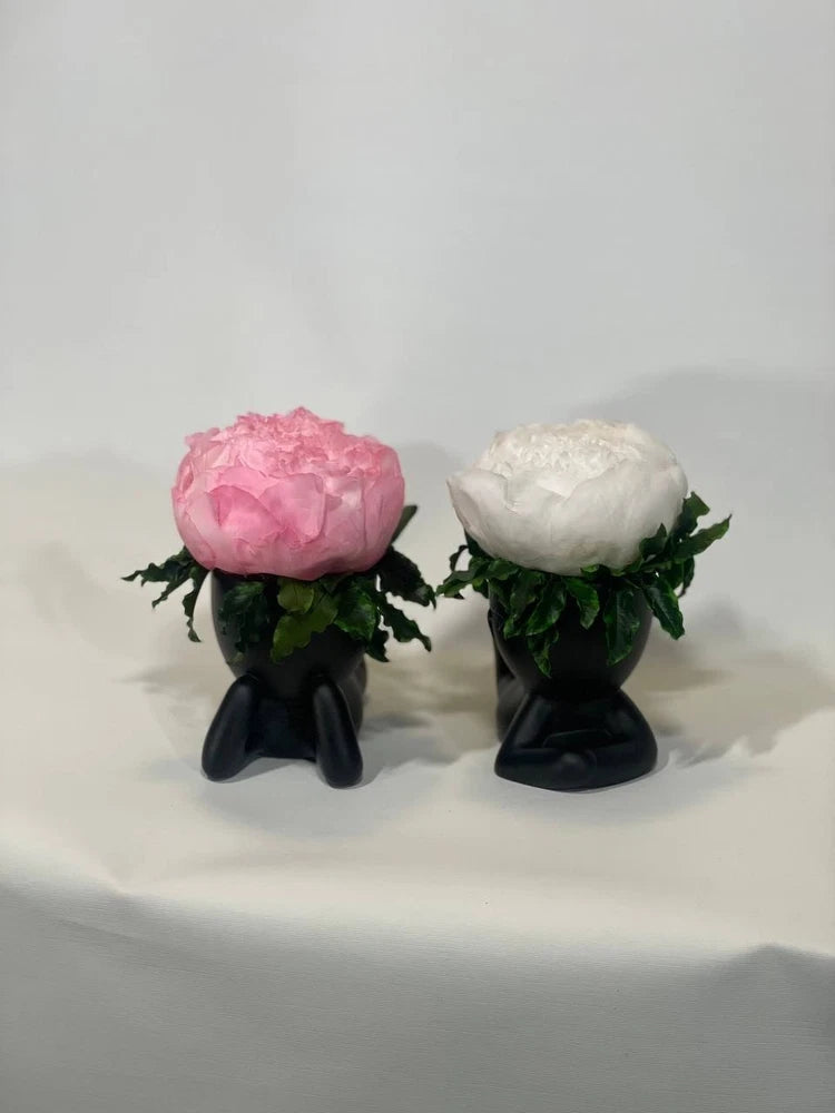 REAL Preserved Peony  in Original Vase. New,  6"6"- 15 cm, for 2 Items Peony