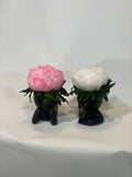 REAL Preserved Peony  in Original Vase. New,  6"6"- 15 cm, for 2 Items Peony