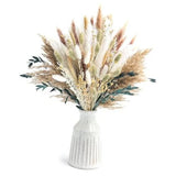 126pcs Dried Pampas Grass Decorations, Dried Flowers, Dried Bouquet in white Pampas Grass