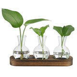 Plant Propagation Stations Glass Vases with Wooden Tray 3 Bulb Flower Vase Flowering Plants