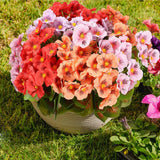 Artificial Flowers Outdoors, 8 Bundles Fake Flowers for Outdoor Planters, Fau... Flowering Plants