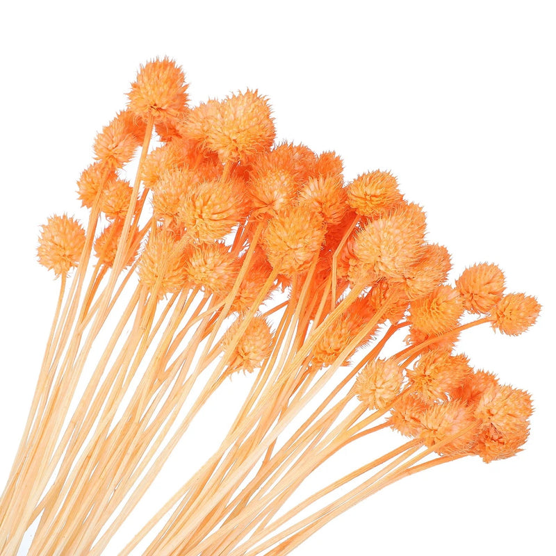 60 Pcs 16 Inch Dried Flowers for Vase Mini Pine Ball Flowers Orange(Stem) Dried Flower