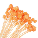 60 Pcs 16 Inch Dried Flowers for Vase Mini Pine Ball Flowers Orange(Stem) Dried Flower