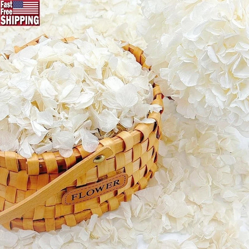 Natural Hydrangea Petals Wedding Decor Romantic Parties Reusable Eco-Friendly US Hydrangea