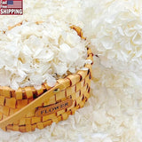Natural Hydrangea Petals Wedding Decor Romantic Parties Reusable Eco-Friendly US Hydrangea