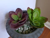 2 Artificial Dester The Leaf Grass Succulent Plants Green Plant