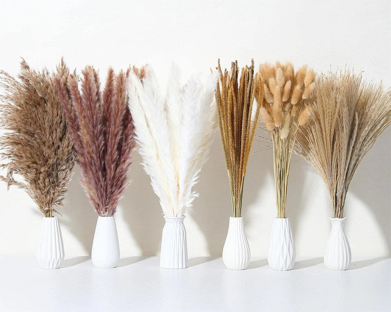 135Pcs Dried Pampas Grass Decor, Boho Home Decor, Mini Bunny Tails Dried Flow... Pampas Grass