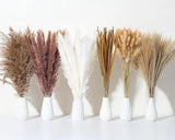 135Pcs Dried Pampas Grass Decor, Boho Home Decor, Mini Bunny Tails Dried Flow... Pampas Grass