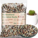 2LBS Horticultural Succulent Rocks Bonsai Mix Succulent Potting Mix Lava Rocks C Orchids
