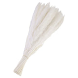 60Pcs Pampas Grass,17" Fake Pampas Grass for Wedding Decoration,White Pampas Grass