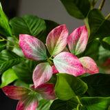 Large Artificial Ficus Tree 57in Fake Indoor Outdoor Home Decor Plant Gift Green Plant