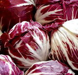 RADICCHIO SEEDS 1000+ PALLA ROSA cool season VEGETABLE garden FREE SHIPPING Garden Plants