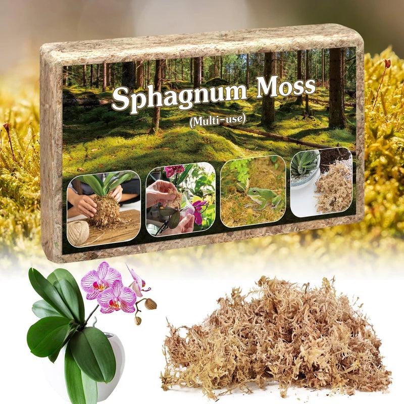 Natural long-fiber sphagnum moss for plants, sold in a box with moss sample.