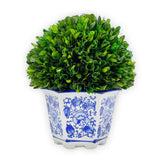 Galt International Preserved Natural Boxwood in Ceramic Pot - Plant and Table... Green Plant