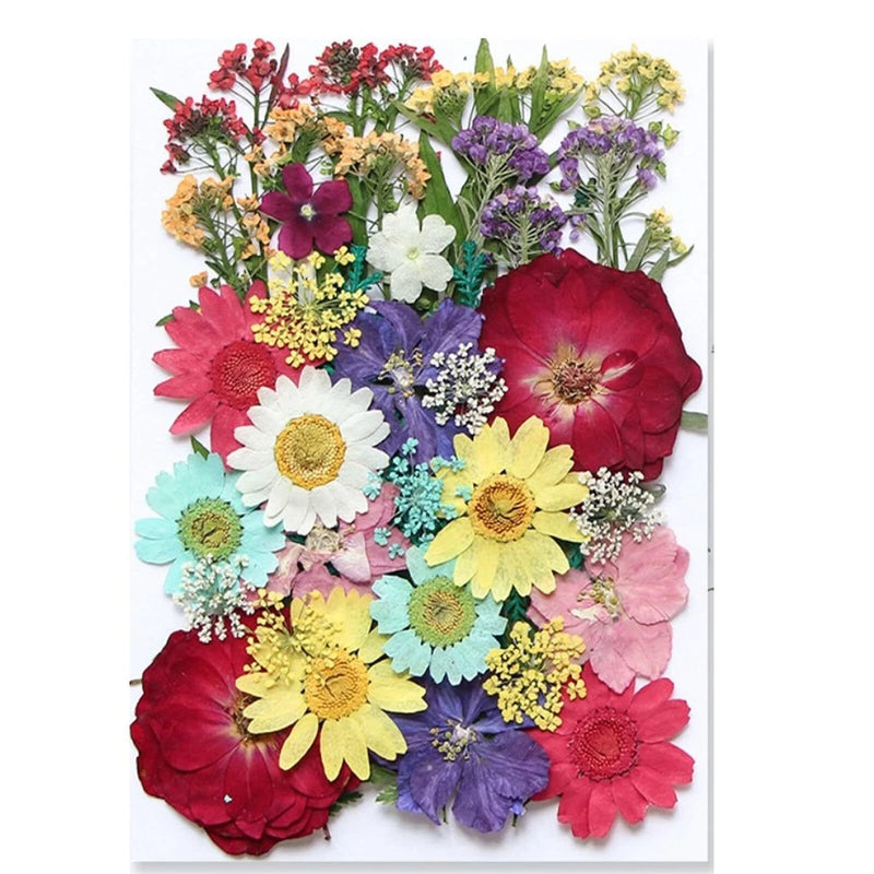 40 Pcs Dried Presserved Flowers Leaves for Resin Scrapbooking DIY Art Crafts Dried Flower