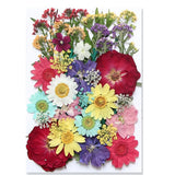40 Pcs Dried Presserved Flowers Leaves for Resin Scrapbooking DIY Art Crafts Dried Flower