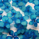 Dried Pressed Flowers,Blue hydrangea flowe Dried Pressed Flower,dry flower 12PCS Hydrangea