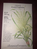 Grass Frosted Explosion Heirloom Seeds Botanical Interests Exp. 12/2024 Pampas Grass