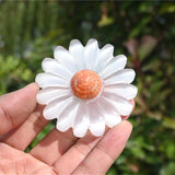 2'' Natural Gypsum daisy Reiki Quartz Crystal Flower decor Heal holiday Gift 1pc Daisies