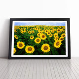 Yellow Sunflower Flowers Wall Art Print Framed Canvas Picture Poster Decor Sunflower