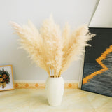 20PCS 40" Tall Natural Pampas Grass Stems - Boho Home Decor for Floor Vases, ... Pampas Grass