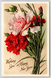 Catherine Klein Flowers~Full Bloom & Buds Red & Pink Carnations~Embossed IAPC Carnation