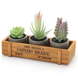 3 PCS Artificial Succulents Plants Small Fake With Wooden Box Office Desk Decor Green Plant