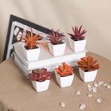 6PCS (SET) Mini Artificial Succulent Green Plant Plastic Wwhite Basin, Home Win Green Plant