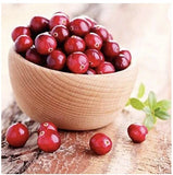 1 plant Pilgrim Cranberry (Vaccinium Macrocarpon) 1 year old Flowering Plants