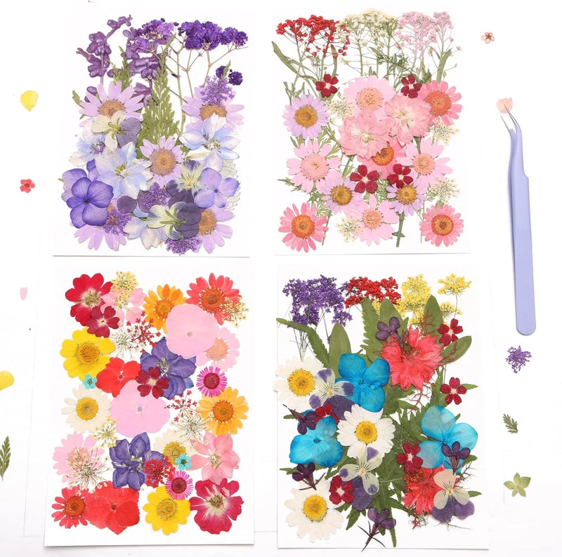 Dried flower craft set with assorted purple, pink, yellow, blue and red blooms