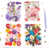 Caiyjhao Dried Flower Set 140PCS Real Natural Flowers are Used for 35B Dried Flower