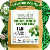 Dutch White Clover Seed, Organic Coated, Eco-Friendly, Low Maintenance Flowering Plants