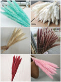 15Pcs Pampas Grass Wedding Home Decor 50cm Stems Real Dry Flower Pantas Dried Pampas Grass