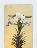 Postcard Easter Lilies Lily