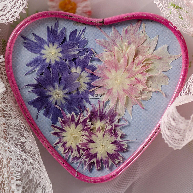Pressed dried flowers in pink heart case, blue and pale pink petals