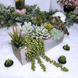 Artificial Potted Succulents Plants Arrangement Fake Succulent Plants in Rectang Green Plant