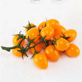 Premium Lifelike Tomato Vine With Hanging Cherries 19cm Fruit Vegetable // New ~ Green Plant