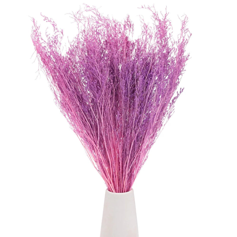 Purple and red dried limonium flower bouquet bundle with fine feathery stems