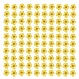 Pressed Flower for Resin Small Plum Blossom Narcissus Dried Flower Real Flowe... Dried Flower