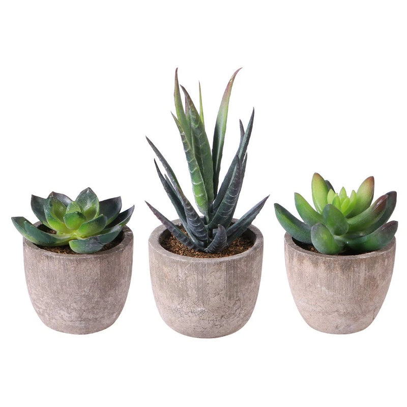 Ounona 3pcs Artificial Succulent Plants Set with Pots - Realistic Faux Mini S... Green Plant