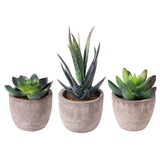 Ounona 3pcs Artificial Succulent Plants Set with Pots - Realistic Faux Mini S... Green Plant