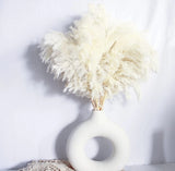 White Pampas Grass for Home Decor - Elegant Boho Decor - Premium Quality Pamp... Pampas Grass