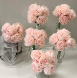 6 x WEDDING FLOWERS BOUQUET BLUSH PINK PEONY PEONIES FLOWER BRIDAL BOUQUETS SOFT Bouquet
